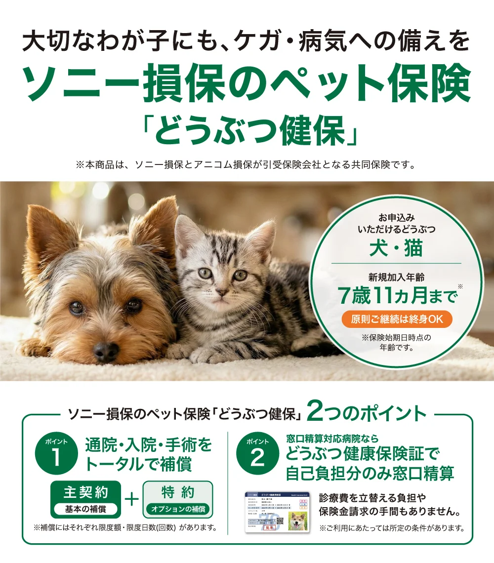 大切なわが子にも、ケガ・病気への備えをソニー損保のペット保険「どうぶつ健保」