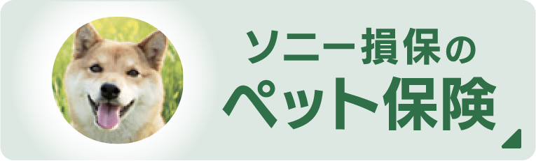 ソニー損保のペット保険